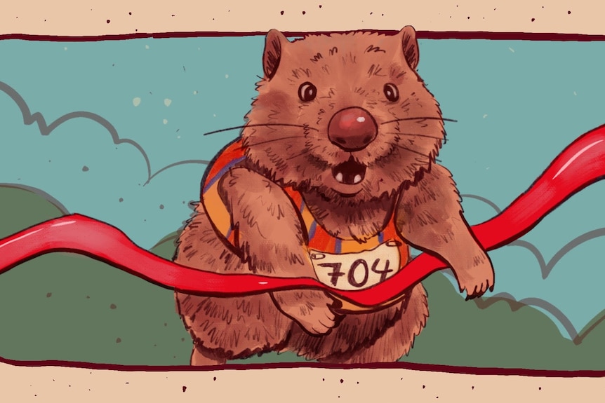 A drawing of a wombat with a runner's number and singlet breaking through a red finish line ribbon