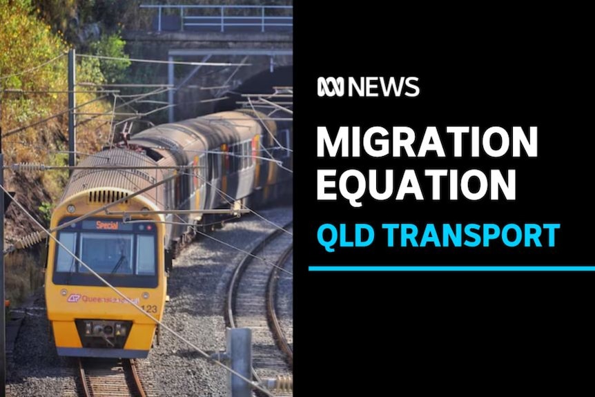 Migration Equation, QLD Transport: A head-on image of the front carriage of a yellow train. 