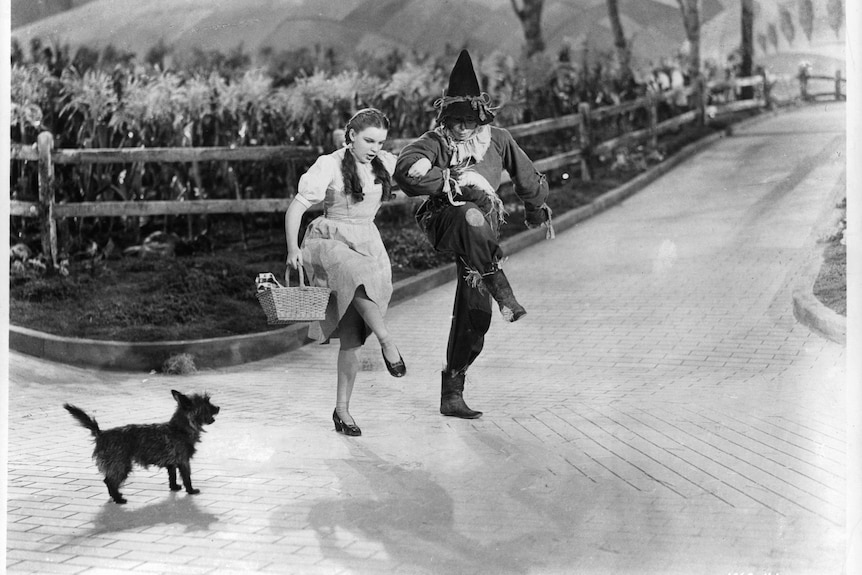 A Wizard of Oz screenshot showing Judy Garland and Ray Bolger walking with dog Toto.