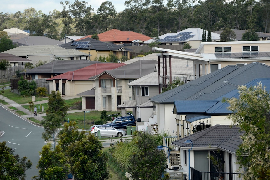 Houses lining a suburban street