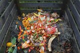 Fruit and vegetable scraps on top of a pile of green waste in an wooden compost pile.