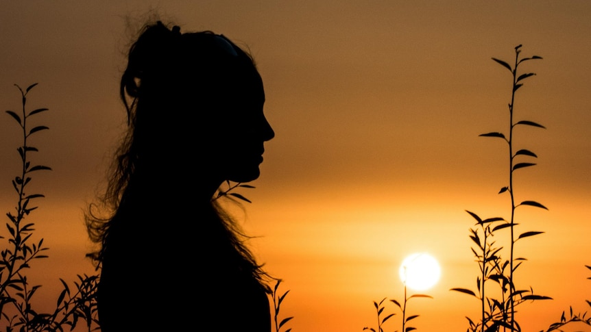 A woman's silhouette in profile, as sunset, with the shadows of trees in the background.