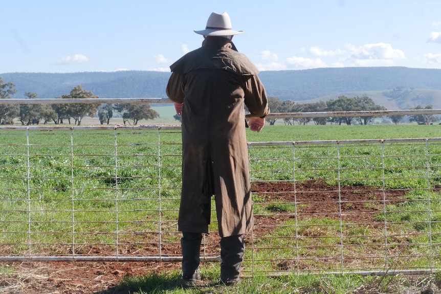 Person standing with his back to the camera, leaning on a farm gate. 