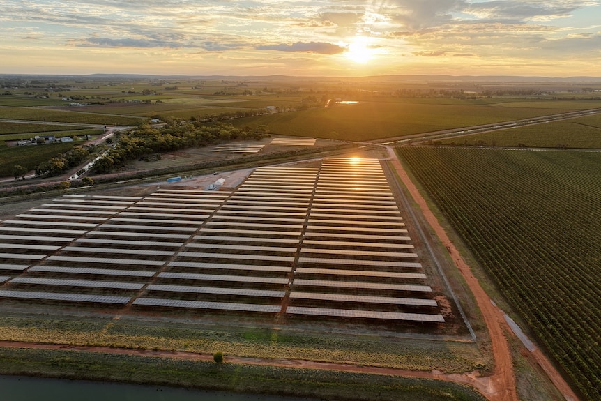 a sunset over solar panels and vineyards