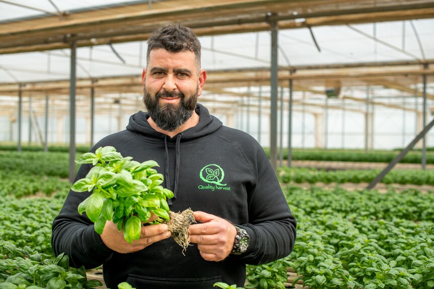 Image of a man smiling with herbs in hand.