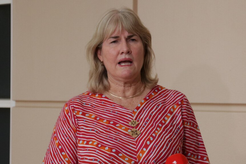 A politician stands behind microphones and speaks at a press conference