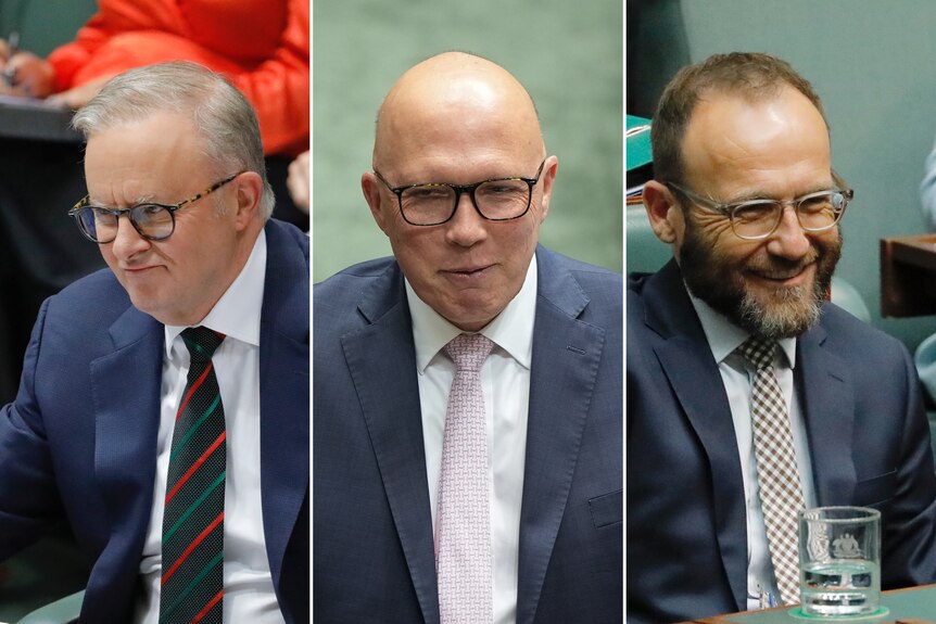 Three images of Albanese, Dutton and Bandt all smiling in the lower house chamber