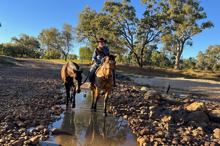 Woman and horses