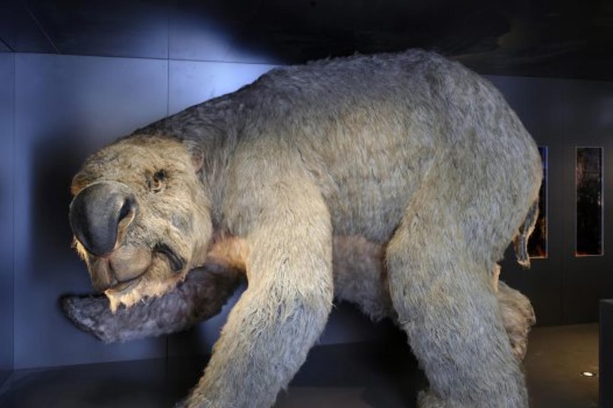 Diprotodon