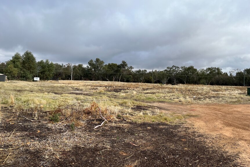 A vacant block of land with brown mulch, green grass and red dirt.