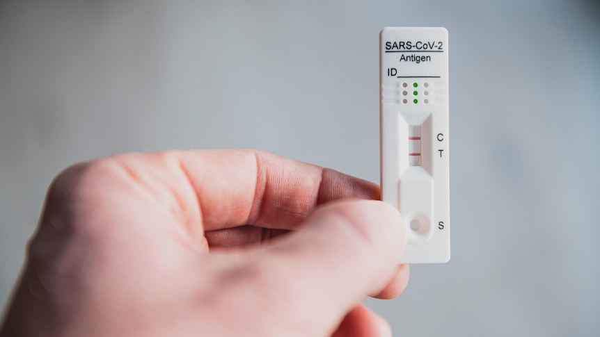 A hand holds a COVID-19 rapid antigen test. The test shows two lines, indicating a positive result.