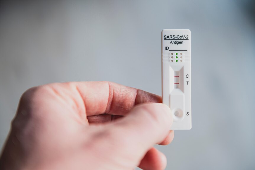 A hand holds a COVID-19 rapid antigen test. The test shows two lines, indicating a positive result.