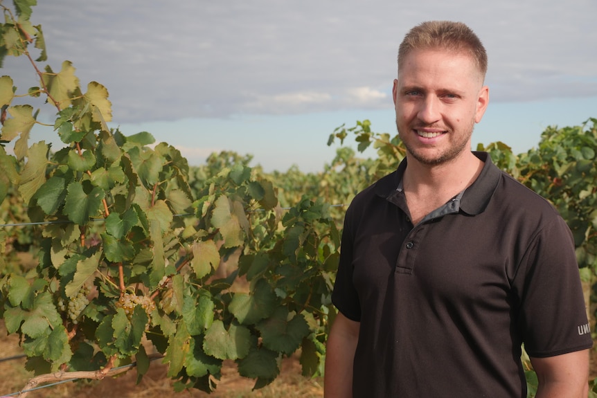 A man standing near a grape vine smiling at the camera