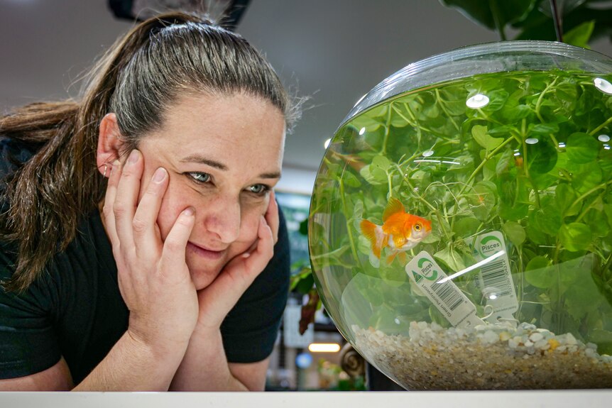 Tegan looks at a fish in a bowl