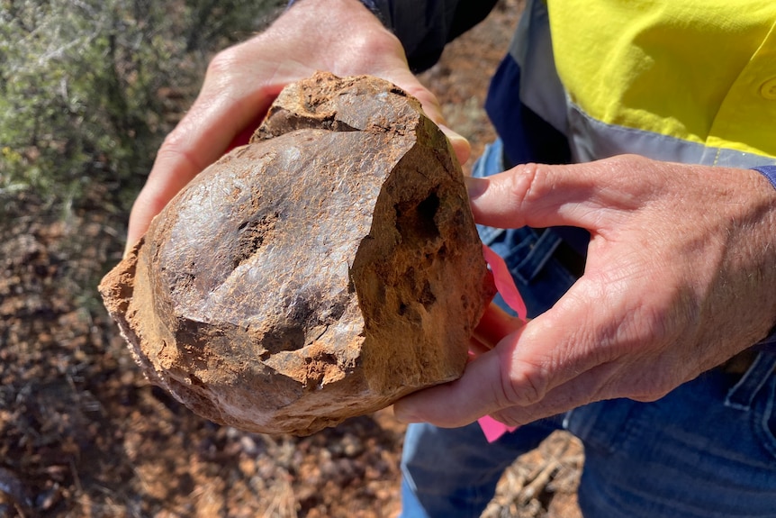 Two Caucasian hands holding a large rock, person wearing jeans and hello and grey mining shirt, dirt and grass behind.