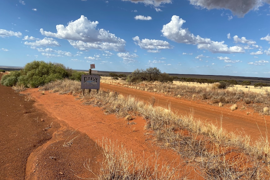 Daisy Downs sign on the side of a road