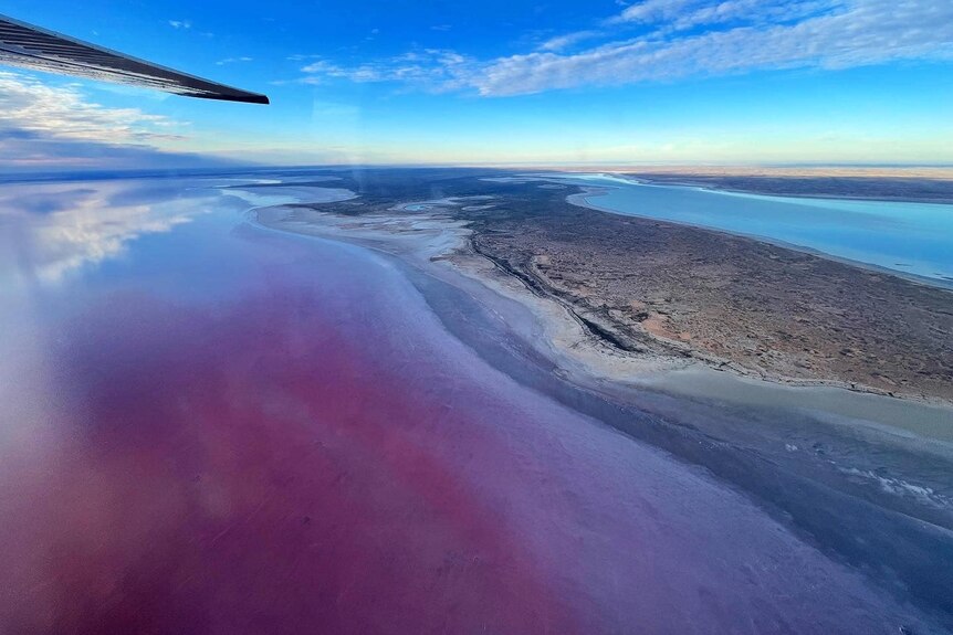 A plane flies over Kati Thanda lake Eyre and the water is hues of pink and blue against a blue sky and white clouds.