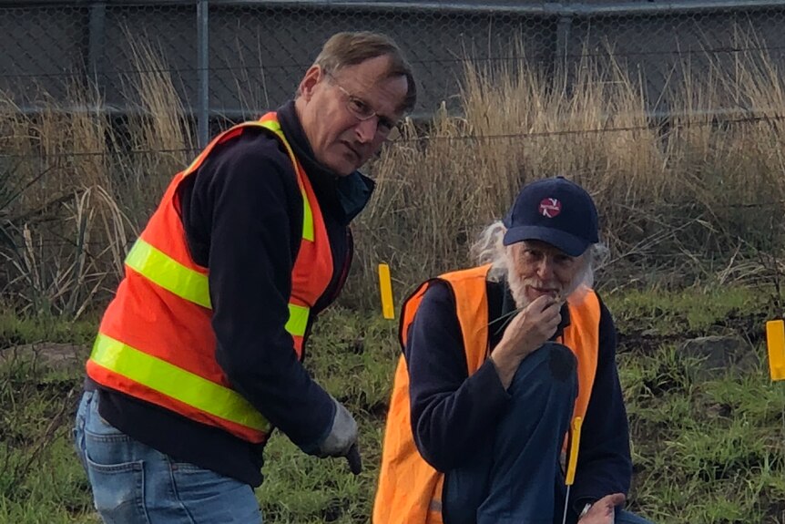 Two men in hi-vis vests planting native orchids.