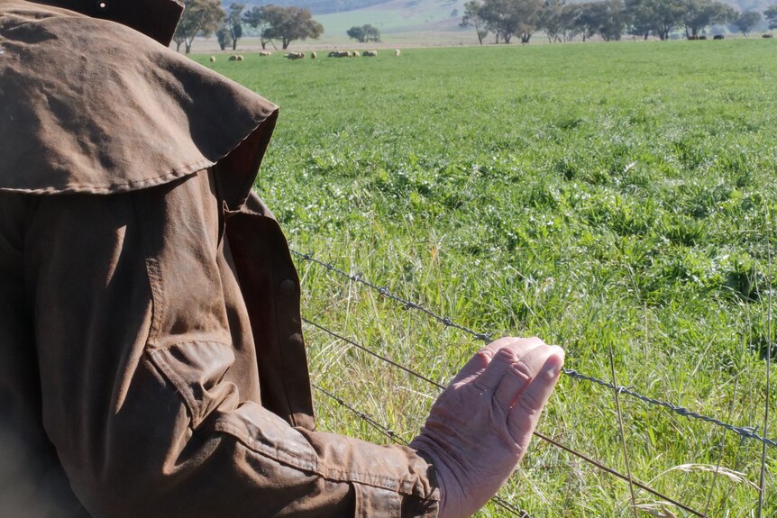 Man standing next to a barbed wire fence, with one hand resting on wire.