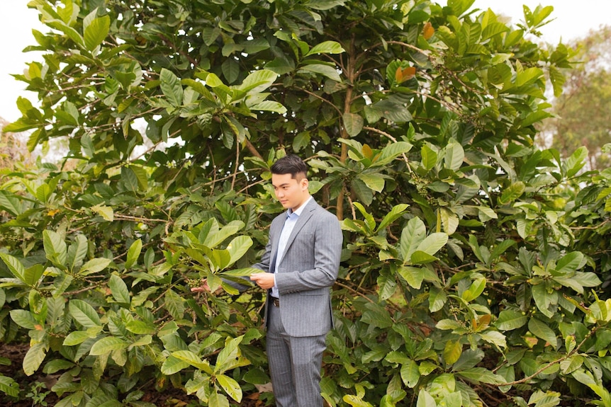 Vietnamese man in a suit stands in front of a coffee tree.