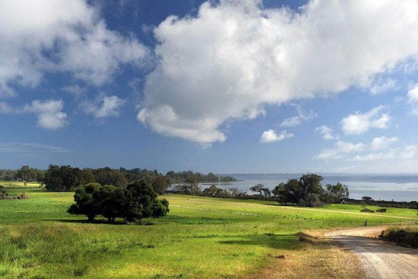 Green land surrounded by water.