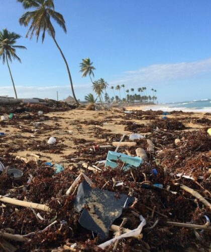 Dustan Woodhouse Beach Pollution