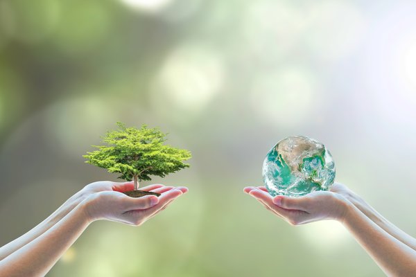 Two people holding a small tree and a globe in their hands.