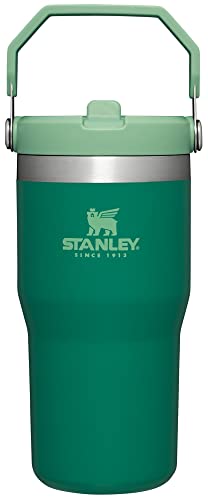 Stanley IceFlow Stainless Steel Tumbler - Vacuum Insulated Water Bottle for Home, Office or Car Reusable Cup with Straw Leak 