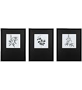 ArtbyHannah 12x16 Inches Framed Wall Art Set, Black and White Plant Wall Art for Wall Decor, Matt...