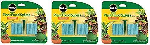 Miracle-GRO Indoor Plant Food, 48-Spikes (3-Pack (48 Count))