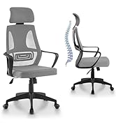 IULULU Ergonomic Office Chair High Back Breathable Mesh Desk Rolling Swivel Computer Task Armchai...