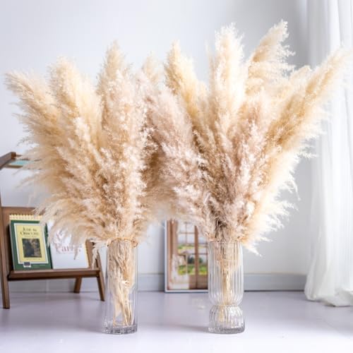 Tall Pampas Grass 10PCS Boho Decor Natural Home Decor Phragmites Dried Flowers Bouquet for Wedding Floral Arrangements Home Decorations (10PCS Tall pampas grass)