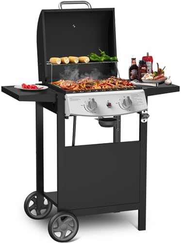 Propane Gas Grill 21000 BTU with 2-Burner,325 sq.in. Outdoor BBQ Grill for Barbecue Cooking with Top Cover Lid,Wheels,Side Storage Shelves,Barbeque Stove for Patio Garden Camping,Black