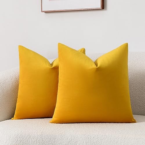 HOMFINER Pack of 2 Mustard Yellow Velvet Throw Pillow Covers 18x18 inch Decorative Soft Solid Modern Boho Home Decor for Fall Couch Bed Living Room Sofa