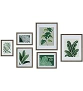 ArtbyHannah 6 Pack Gallery Wall Frames Set with Botanical Plant Pictures, Brown Framed Wall Decor...