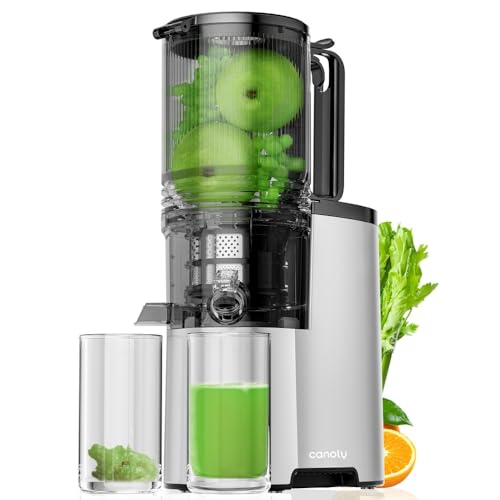 Cold Press Juicer, 5.4" Extra Large Feed Chute Fit Whole Fruits & Vegetables, 350W Professional Slow Masticating Juicer Machi