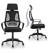 IULULU Ergonomic Office Chair High Back Breathable Mesh Desk Rolling Swivel Computer Task Armchai...
