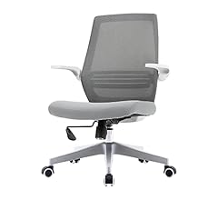 SIHOO Chair Ergonomic Swivel Height Adjustable