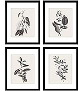 ArtbyHannah 11x14 Inch Framed Botanical Wall Art with Black Frames and Plant Prints for Home Deco...