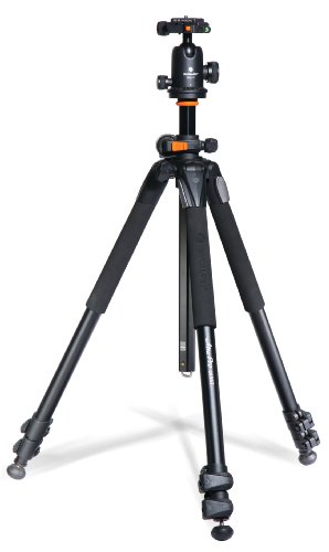 Vanguard Alta Pro 263AB 100...