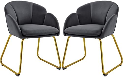 Yaheetech Flower Shape Velvet Armchair, Modern Side Chair Vanity Chair with Golden Metal Legs for Living Room/Dressing Room/Bedroom/Home Office/Kitchen, Set of 2, Dark Gray