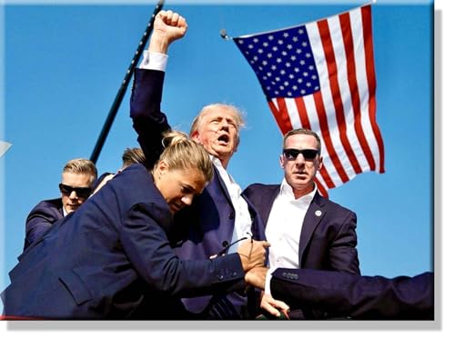 ArtWorks Decor Donald Trump Assassination Attempt Fight Picture on Stretched Canvas Wall Art, Ready to Hang! (11" x 14")