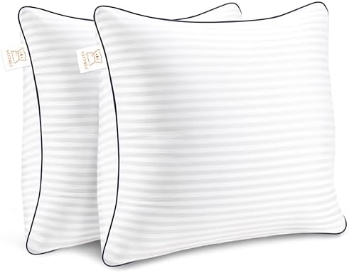 Yettbea Throw Pillows Insert, 18'' x 18'' Set of 2, Decorative for Couch, Sofa or Bed with Premium Down Alternative Filled, White