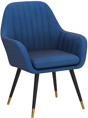 Roundhill Furniture Tuchico Accent, one Chair, Blue