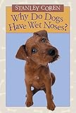 Image of Why Do Dogs Have Wet Noses?