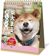 新日本カレンダー 2024年 カレンダー 卓上 柴犬まるのおしゃべり週めくり NK4308