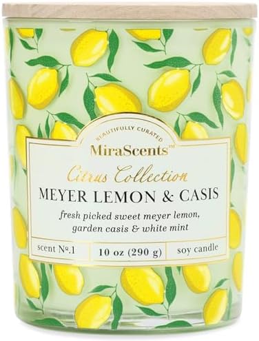 Lemon Fruit Scented Summer Candles Fragrance 10oz Large Jar Candle Gift Decal Jars for Home Gift for Men Women (Lemon)