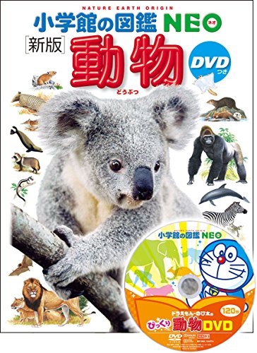 DVD付 新版 動物 (小学館の図鑑 NEO)