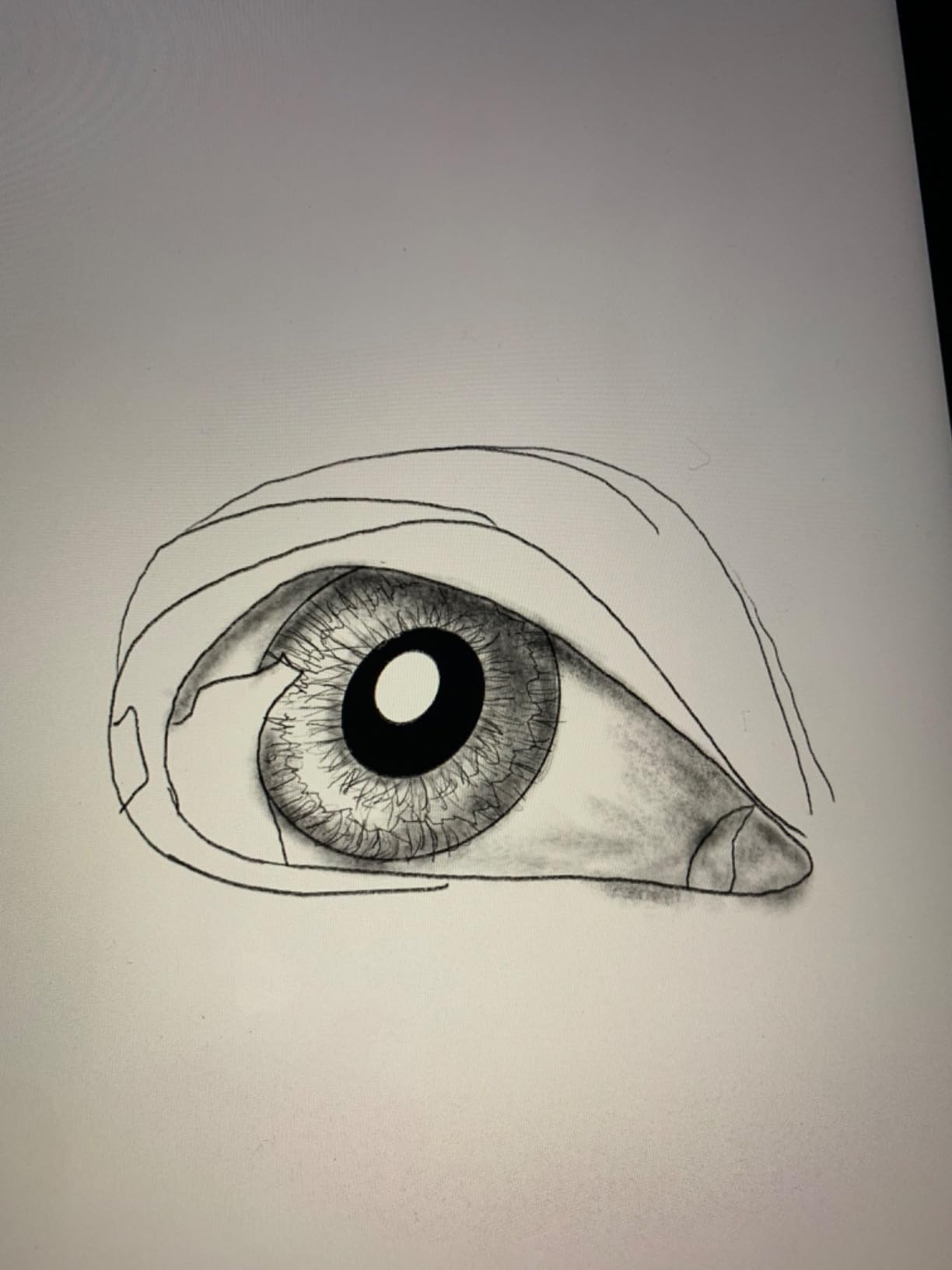 Great for a beginner artist like me