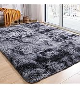 Softlife Area Rug for Bedroom, 4x6 Feet Plush Fluffy Rug for Living Room, Tie-Dye Black Grey Furr...